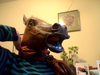 Horse Head Mask Image